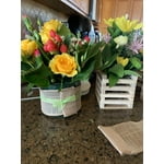 Image 8 of customer photos
