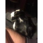 Image 2 of customer photos