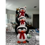 Image 1 of customer photos