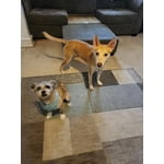 Image 1 of customer photos