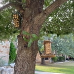 Image 6 of customer photos