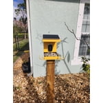 Image 1 of customer photos