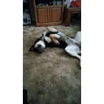 Image 4 of customer photos