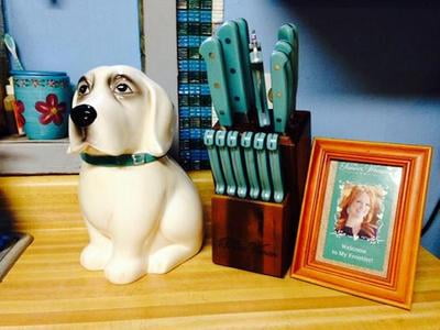 pioneer woman lucy cookie jar