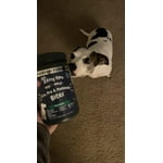 Image 5 of customer photos