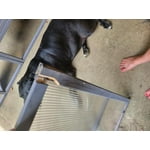 Image 3 of customer photos