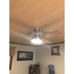 Image 3 of customer photos