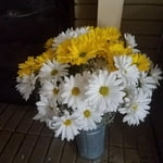 Image 6 of customer photos