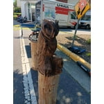 Image 6 of customer photos