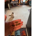 Image 3 of customer photos