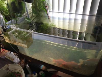 sterilite 200 qt walmart