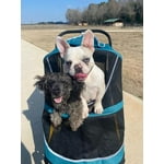 Image 6 of customer photos