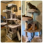 Image 4 of customer photos