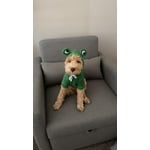 Image 1 of customer photos