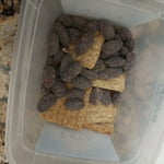 Image 3 of customer photos