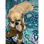 Image 3 of customer photos