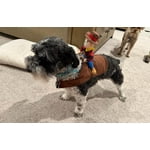 Image 4 of customer photos