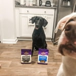 Image 6 of customer photos