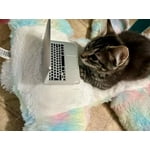 Image 1 of customer photos