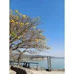 Imagen 8 de las fotos del cliente