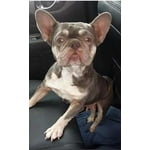 Image 3 of customer photos