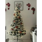 Image 2 of customer photos