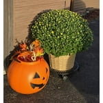 Image 2 of customer photos