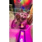 Image 5 of customer photos