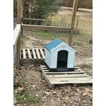 Image 4 of customer photos