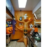 Image 7 of customer photos