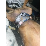 Image 3 of customer photos