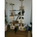 Image 6 of customer photos