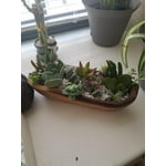 Image 5 of customer photos