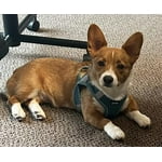 Image 6 of customer photos