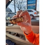 Image 3 of customer photos