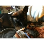 Image 2 of customer photos