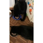 Image 7 of customer photos