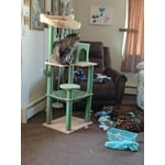 Image 7 of customer photos