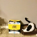 Image 2 of customer photos