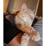 Image 7 of customer photos