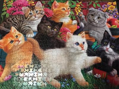 Music Room 1000-Piece Jigsaw Puzzle For Adults - Cozy Cat & Dog Art, Finished Size 19.7x27.6 Inches - View #5