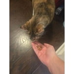 Image 6 of customer photos