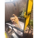 Image 2 of customer photos