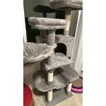 Image 5 of customer photos