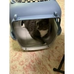 Image 4 of customer photos