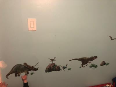 Featured image of post Roommates Dinosaur Wall Decals