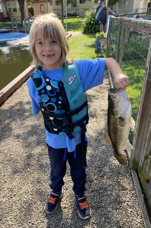 zebco omega pro spincast reel