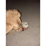 Image 7 of customer photos