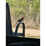 Image 5 of customer photos