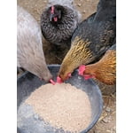 Image 1 of customer photos